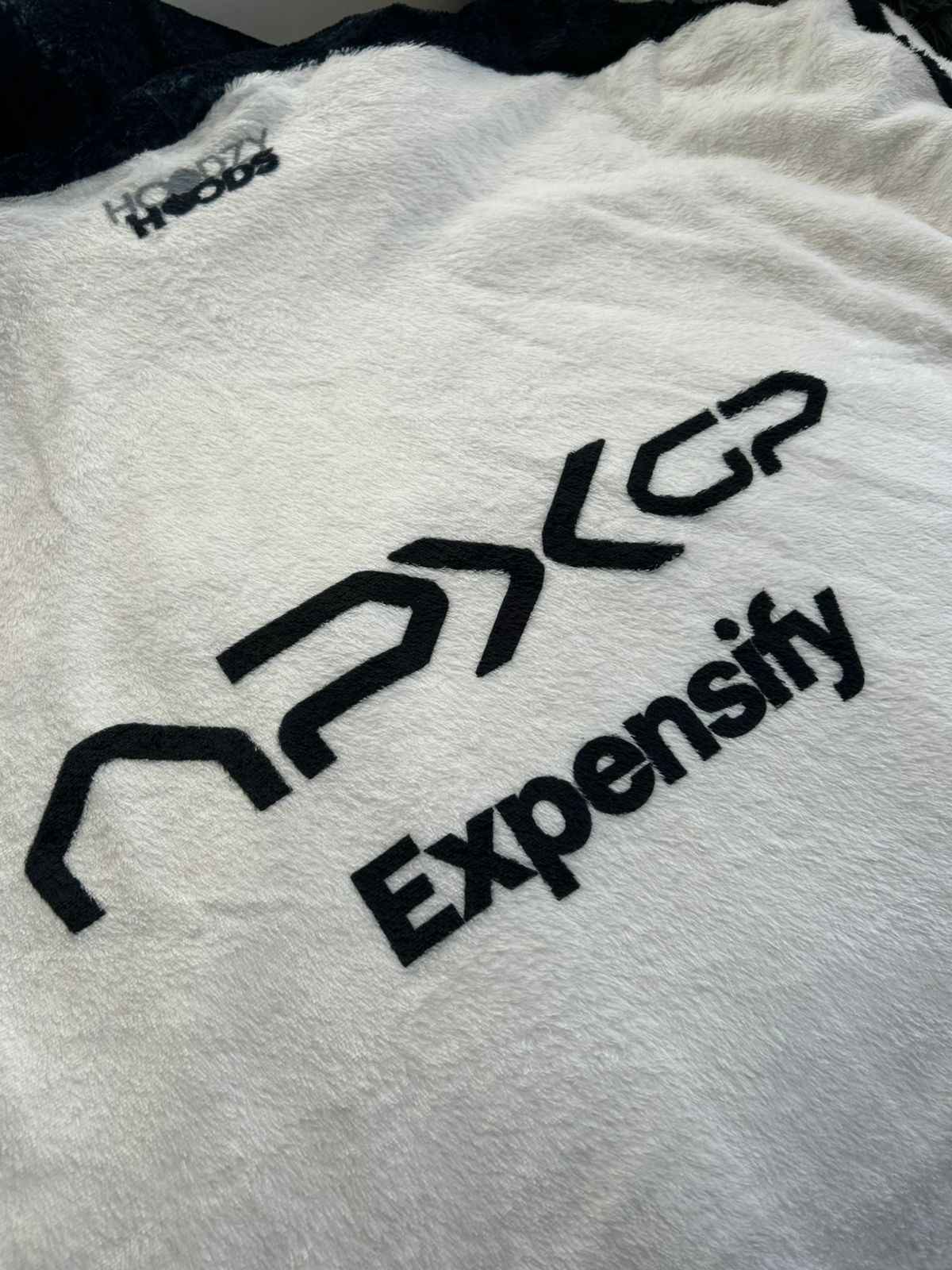 APX GP F1 Movie Hoodzy